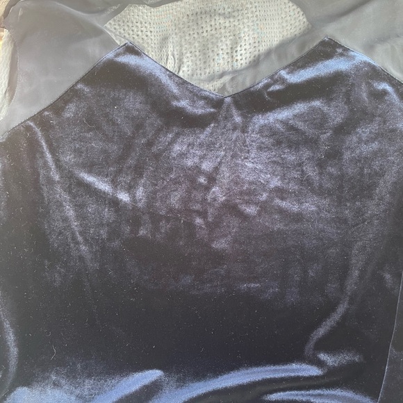 Gentle Fawn Velvet V neck sheer - Picture 3 of 6